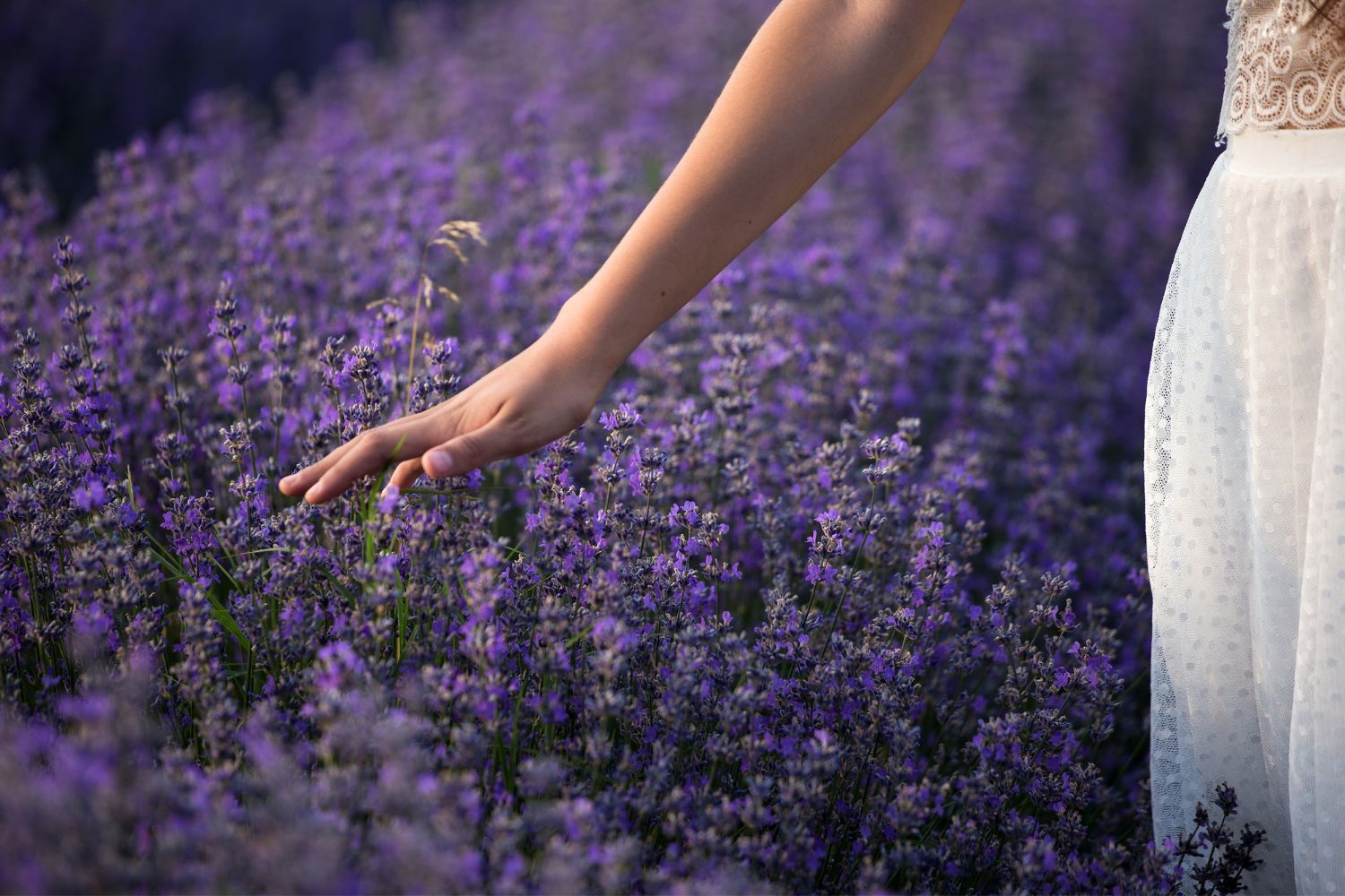 10 Mindfulness exercises for anxiety - Womans hand touching purple flowers