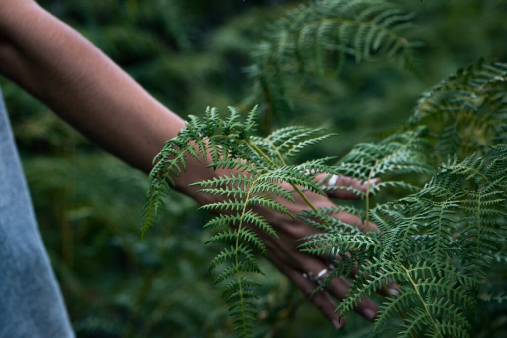 How mindfulness helps - Woman in nature her hand touching fern