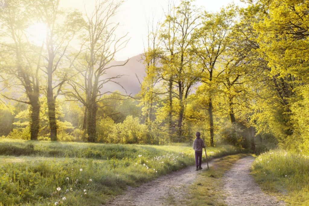 Boy walking along path through trees and beautiful nature