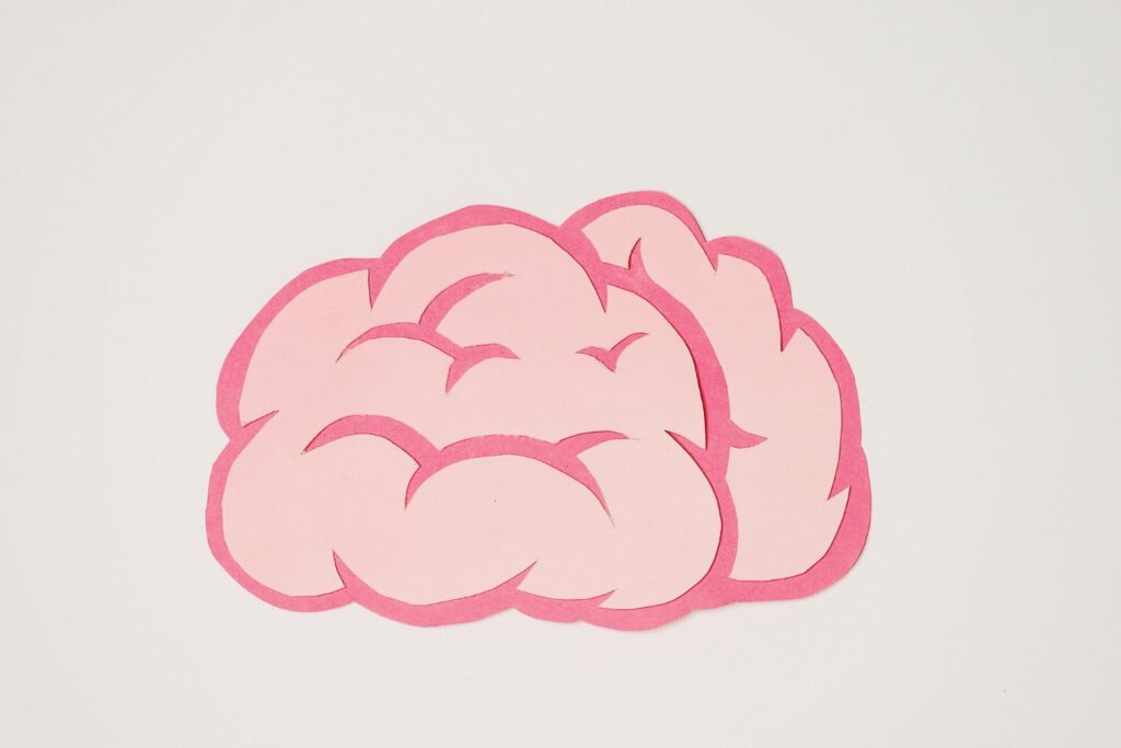 Brain illustration graphic